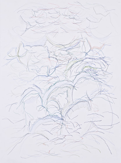 © 2025 Selena Beaudry. All rights reserved.  - Looking Out My Window #6, 28in  x 36in  — colored pencil & gouache on paper, 2017