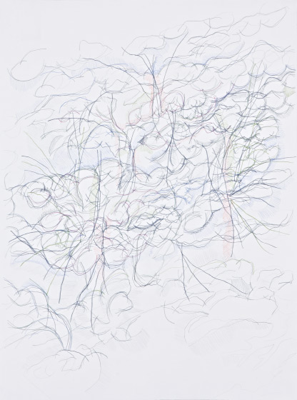 © 2025 Selena Beaudry. All rights reserved.  - Looking Out My Window #15, 28in  x 36in  — colored pencil & gouache on paper, 2017