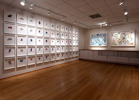 © 2025 Selena Beaudry. All rights reserved.  - Word<span class=in superscriptin >60</span>, Smash and Float, Installation View, 2012