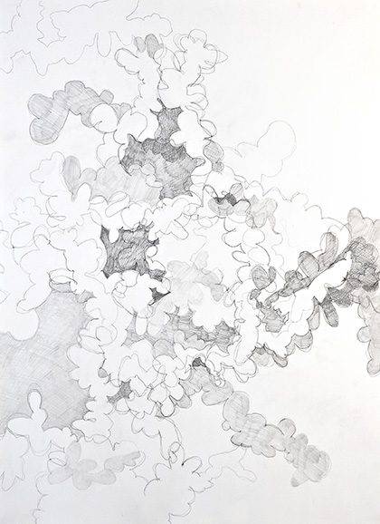© 2025 Selena Beaudry. All rights reserved.  - Tracing 1, 22in  x 30in  — Pencil on paper, 2010 