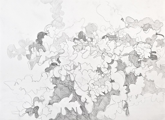 © 2025 Selena Beaudry. All rights reserved.  - Tracing 2, 30in  x 20in  — Pencil on paper, 2010 