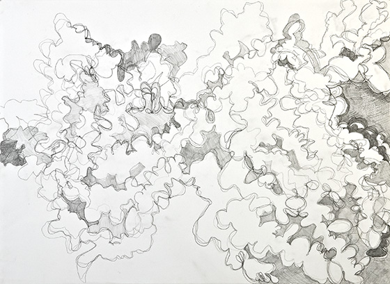 © 2025 Selena Beaudry. All rights reserved.  - Tracing 3, 30in  x 20in  — Pencil on paper, 2010 
